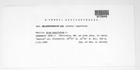 Melanustilospora ari image
